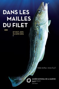 1 maille